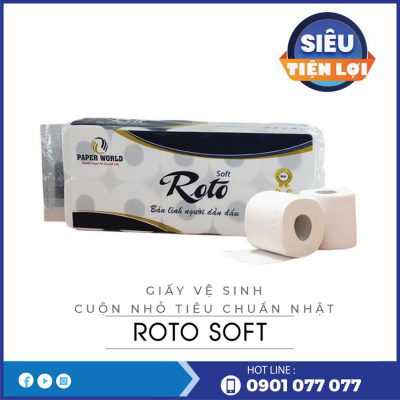 cung cấp gvs cuộn nhỏ rts10-thegioigiayvn.com