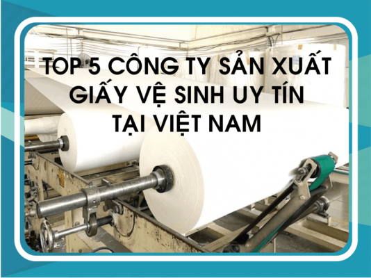 Top 5 công ty sản xuất giấy vệ sinh uy tín nhất Việt Nam